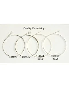 Beyaz Musicstrings Saz Baglama Saz Teli 020 Loop-End mit Schlinge Strings Saiten