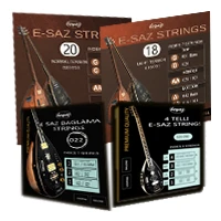 Elektrische Saz Saiten